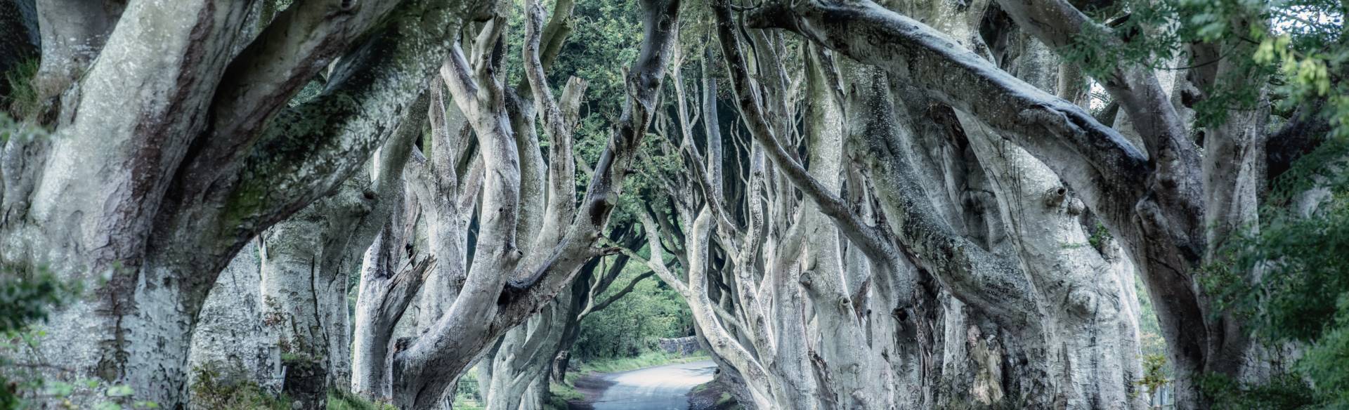 Where are the best Game of Thrones locations in Northern Ireland?