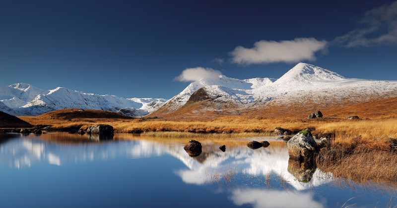 glencoe