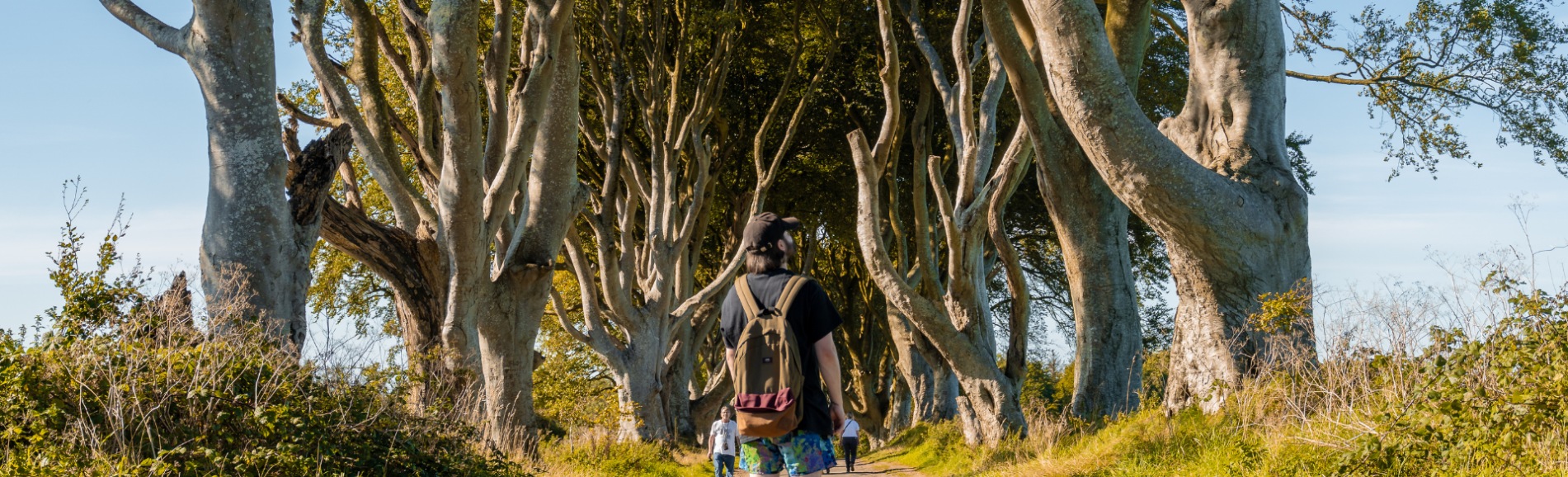 dark hedges ireland