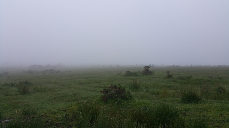 How long have people believed in the beast of bodmin moor