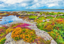 6 Best Irish Destinations for a Spring Visit