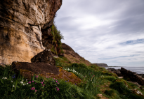 A Mini Adventure in Scotland in Miniature