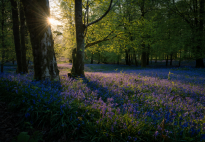 What's Spring Like in the UK & Ireland?