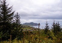 A Guide to Arran: The Miniature Scotland