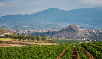 Bold & Beautiful: La Rioja & the Basque Country - 4 day tour